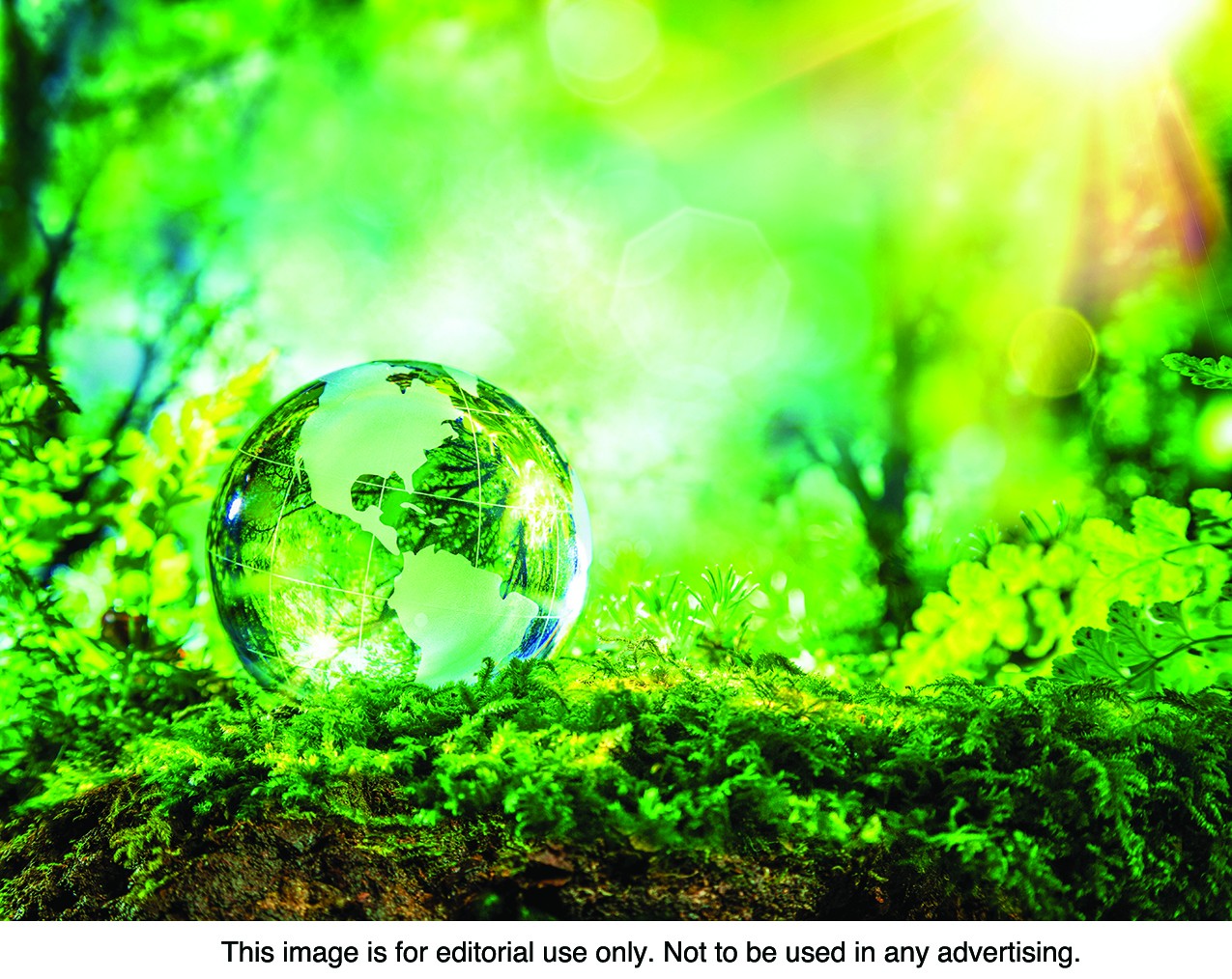 Earth Day